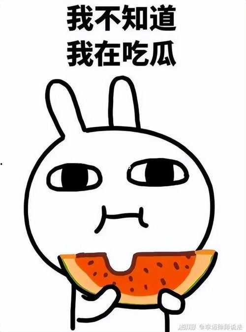 娱乐吃瓜蛋仔名字大全