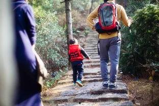 娱乐吃瓜酱爬山,娱乐吃瓜酱带你领略爬山乐趣